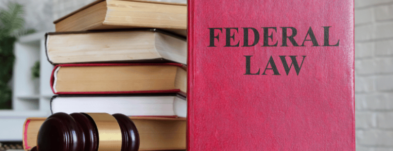 Common Federal Crimes and Their Penalties in Los Angeles