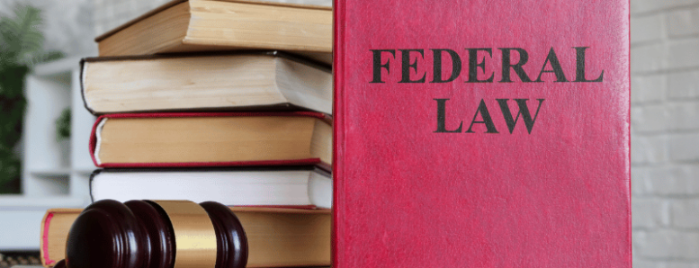 Key Differences Between Federal and State Criminal Cases