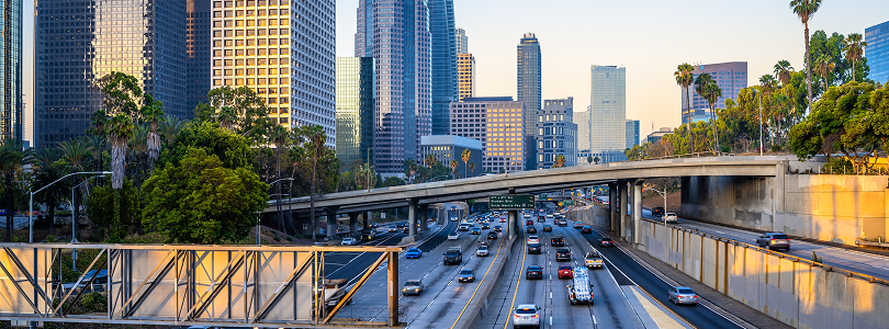 Los Angeles Criminal Defense Lawyer